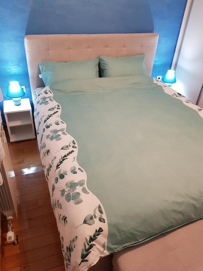 Apartman Kej Blue Free Parking Kraljevo Kültér fotó